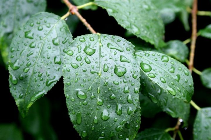 Pielęgnacja mebli ogrodowych w deszczowych warunkach pogodowych